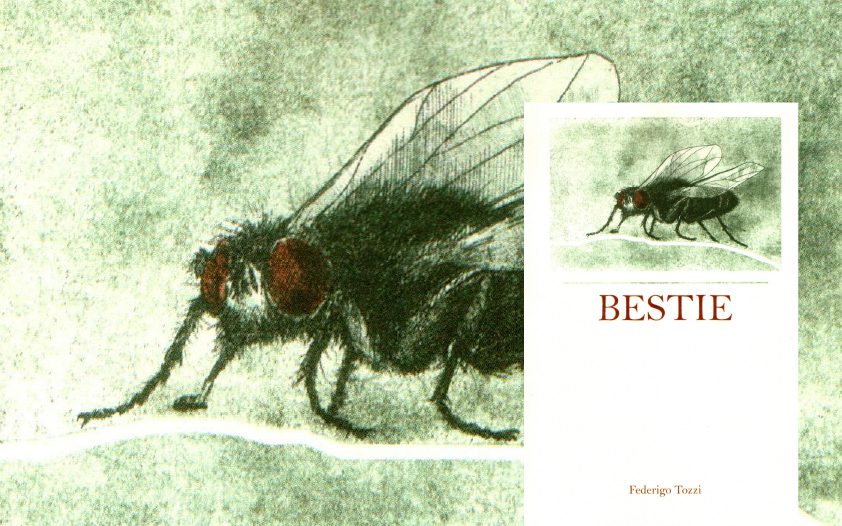 Tavola disegno 1-100