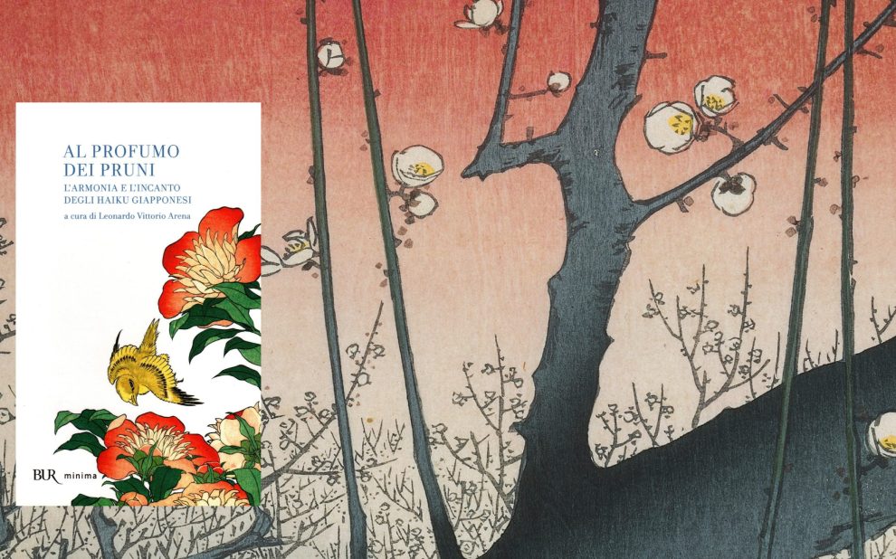 Haiku 3 blog_Tavola disegno 1