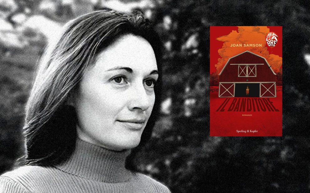 Il banditore Il banditore